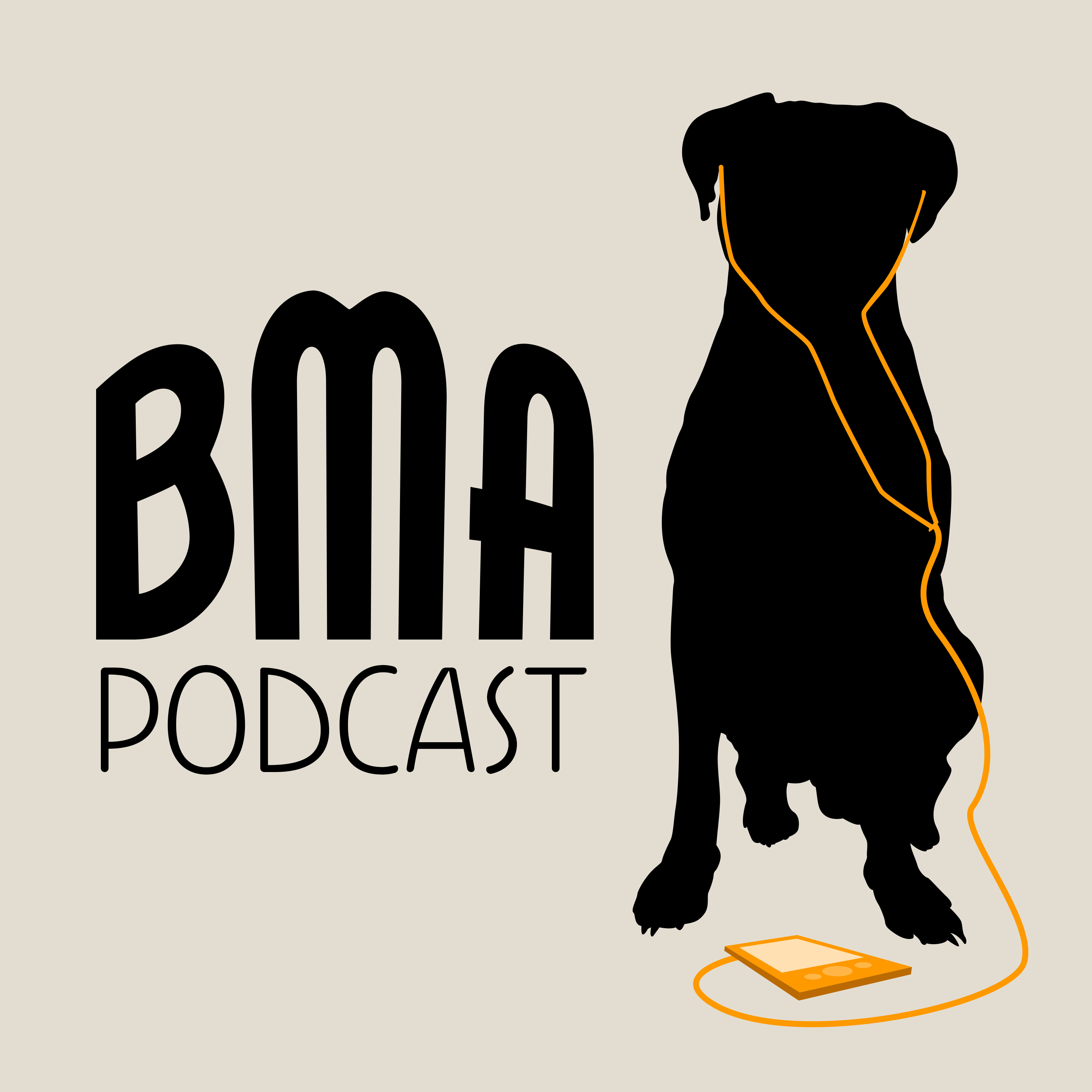 BMA Podcasts